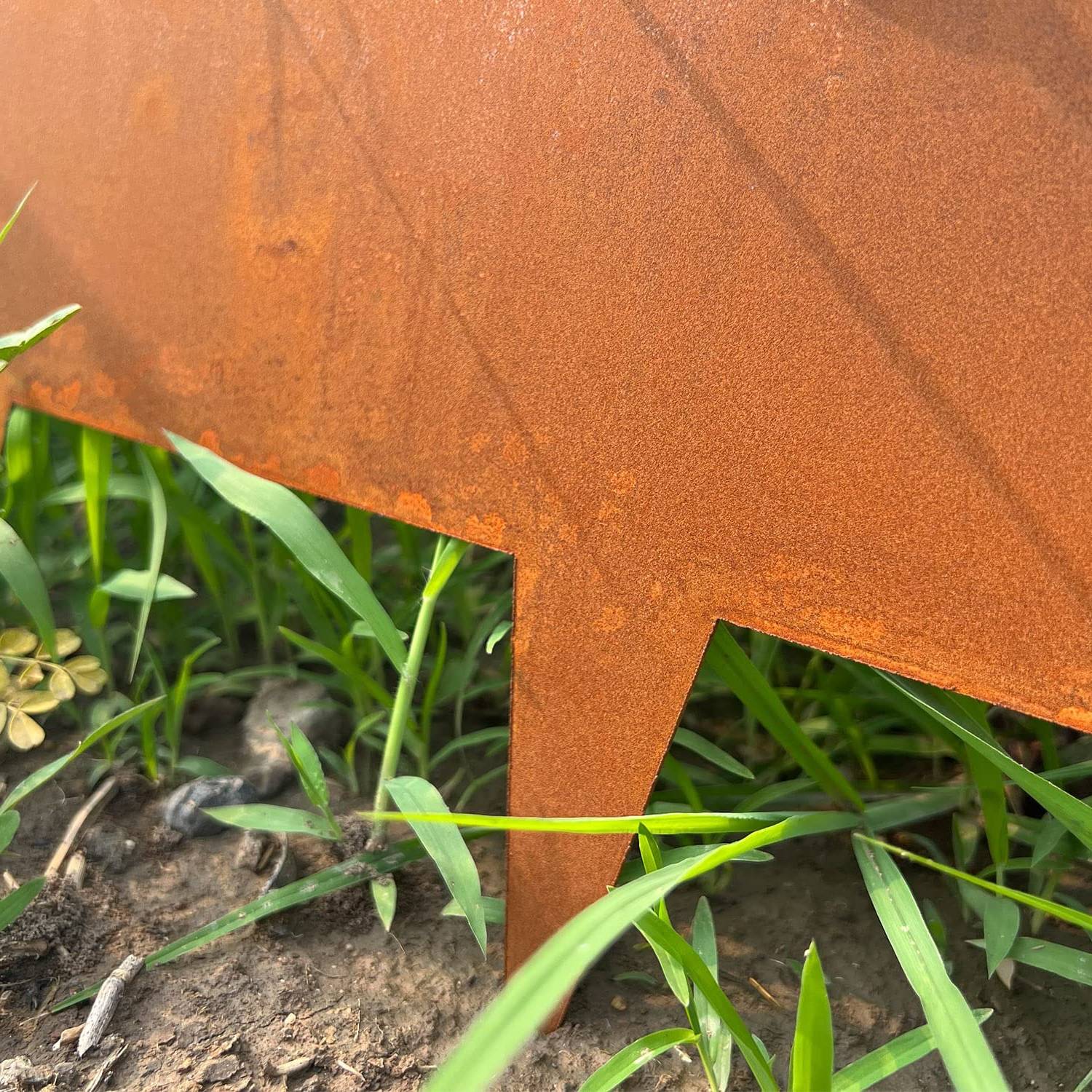 Corten Steel Garden Edging 100 mm (per metre): image 13