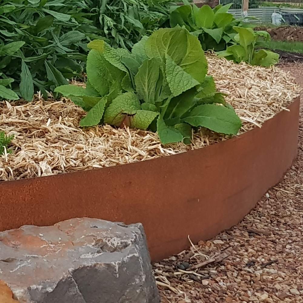 Corten Steel Garden Edging 100 mm (per metre): image 14